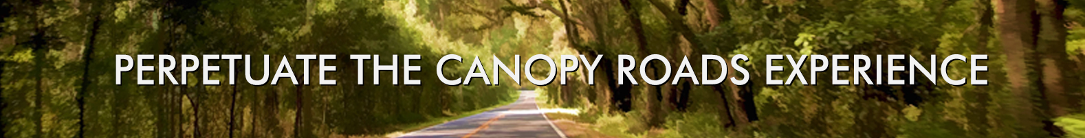 Canopy Roads Management Plan Goals Banner