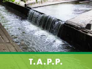 button for T.A.P.P.