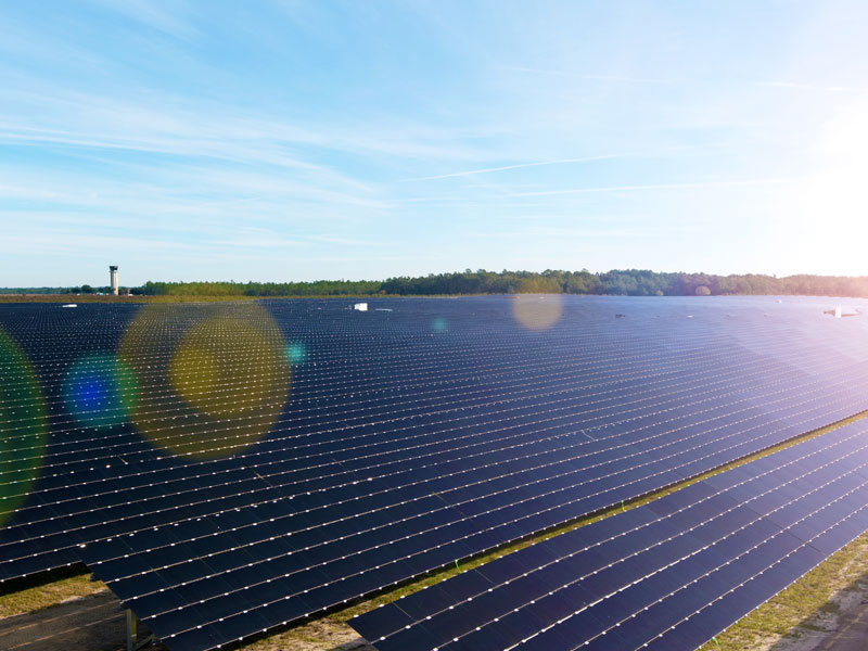 Tallahassee Solar